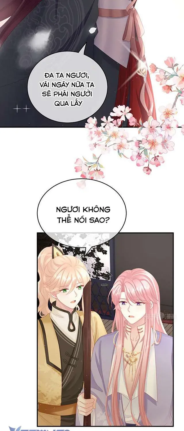 Kiều Phu Có Hỷ Chương 34 - Trang 31