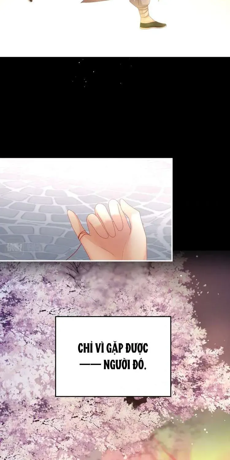 Kiều Phu Có Hỷ Chương 39 - Trang 7