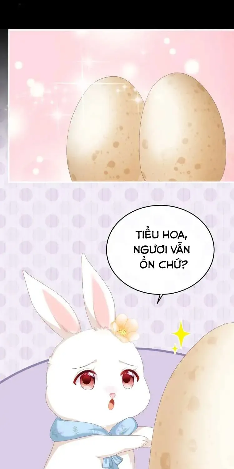 Kiều Phu Có Hỷ Chương 58 - Trang 20