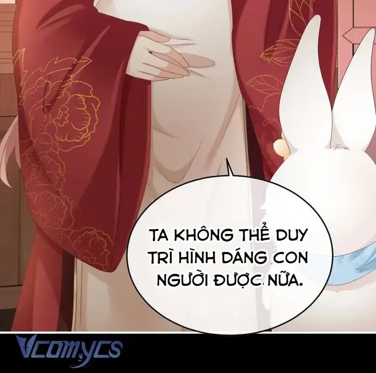 Kiều Phu Có Hỷ Chương 58 - Trang 5