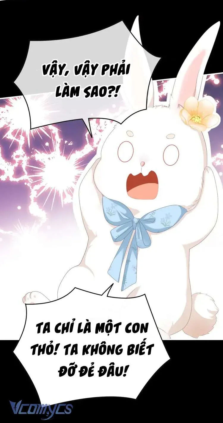 Kiều Phu Có Hỷ Chương 58 - Trang 7