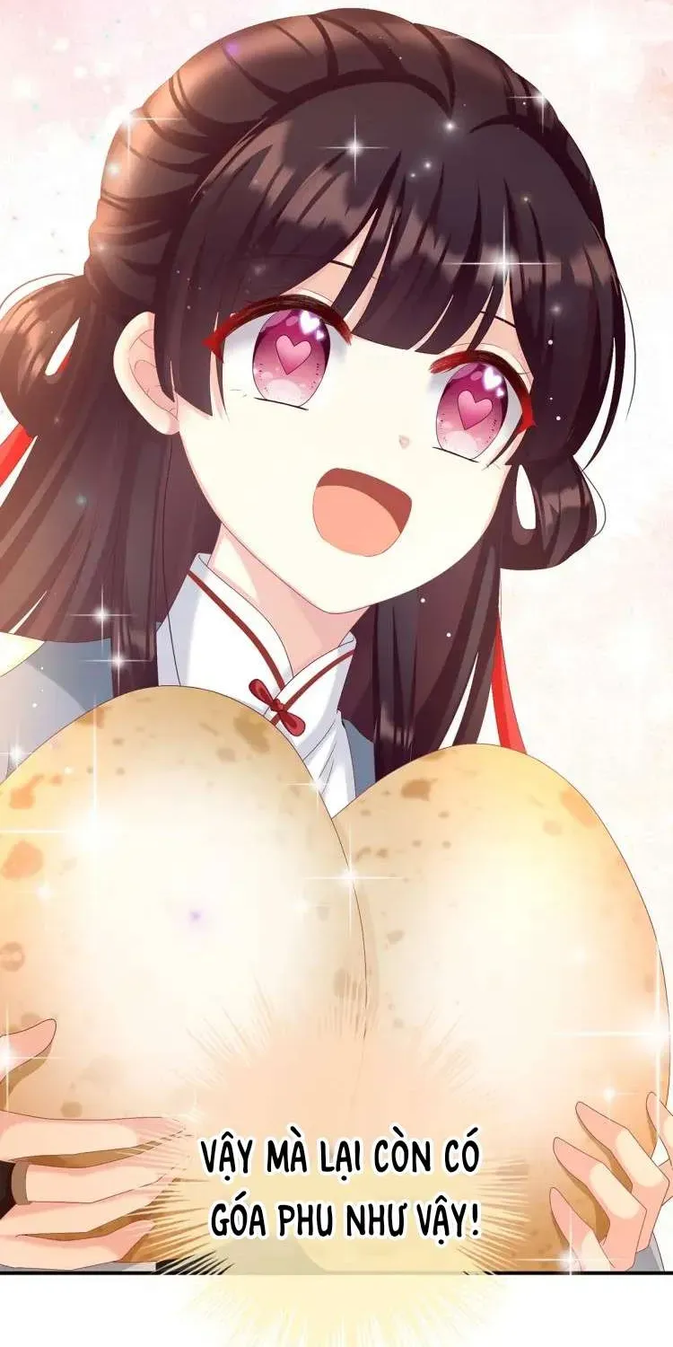 Kiều Phu Có Hỷ Chương 61 - Trang 11