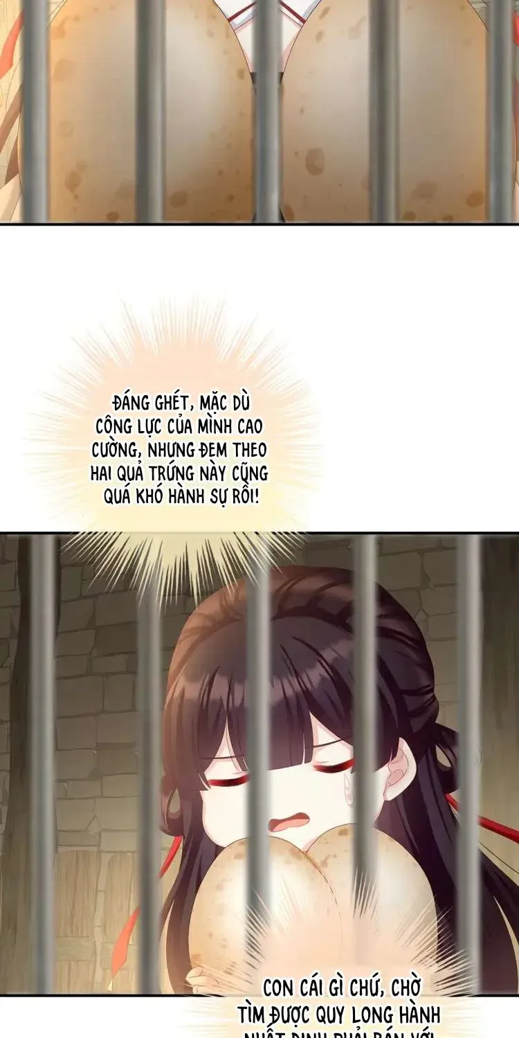 Kiều Phu Có Hỷ Chương 61 - Trang 23