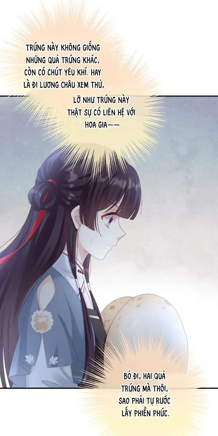 Kiều Phu Có Hỷ Chương 61 - Trang 5