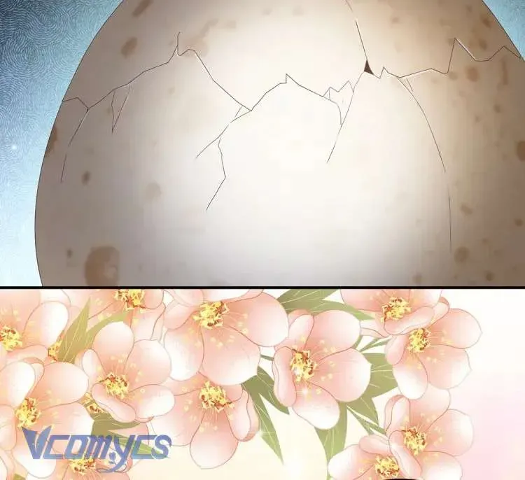 Kiều Phu Có Hỷ Chương 62 - Trang 16