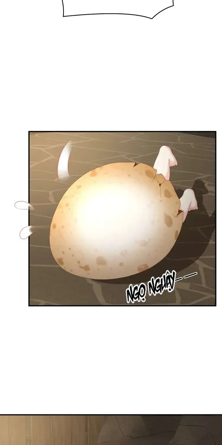 Kiều Phu Có Hỷ Chương 62 - Trang 21