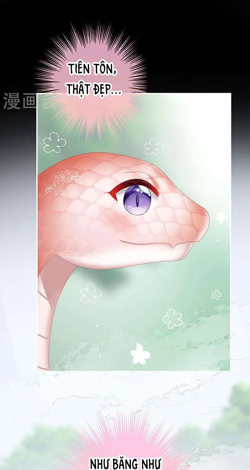 Kiều Phu Có Hỷ Chương 67 - Trang 23