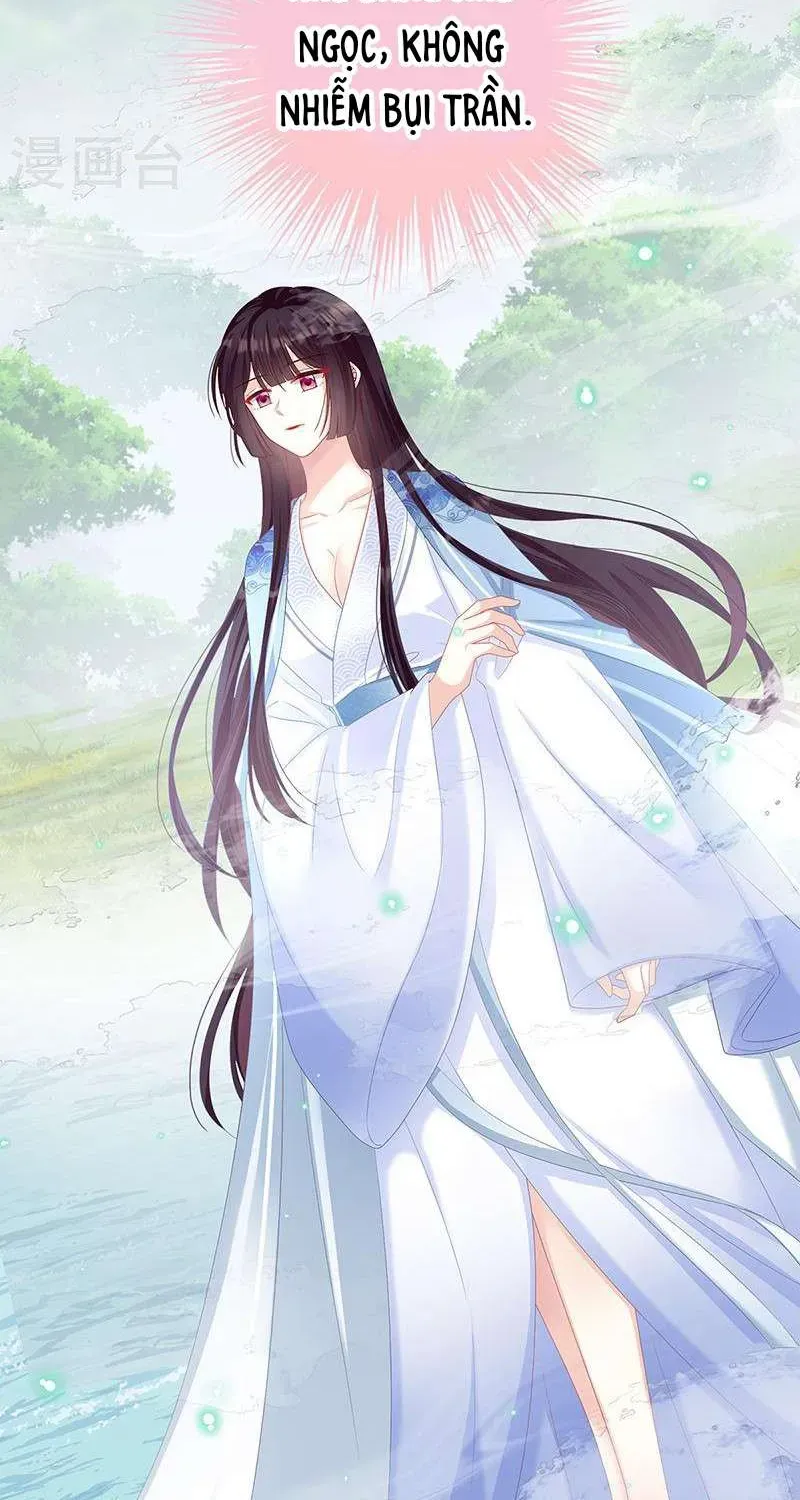 Kiều Phu Có Hỷ Chương 67 - Trang 24