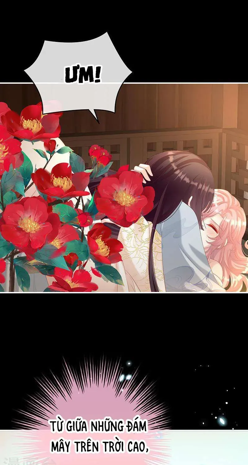 Kiều Phu Có Hỷ Chương 67 - Trang 34