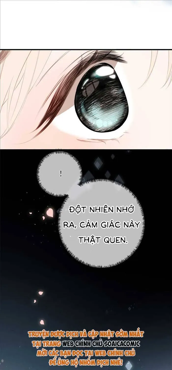 Tố Hồi Xuân Thời Chap 67 - Next Chap 66