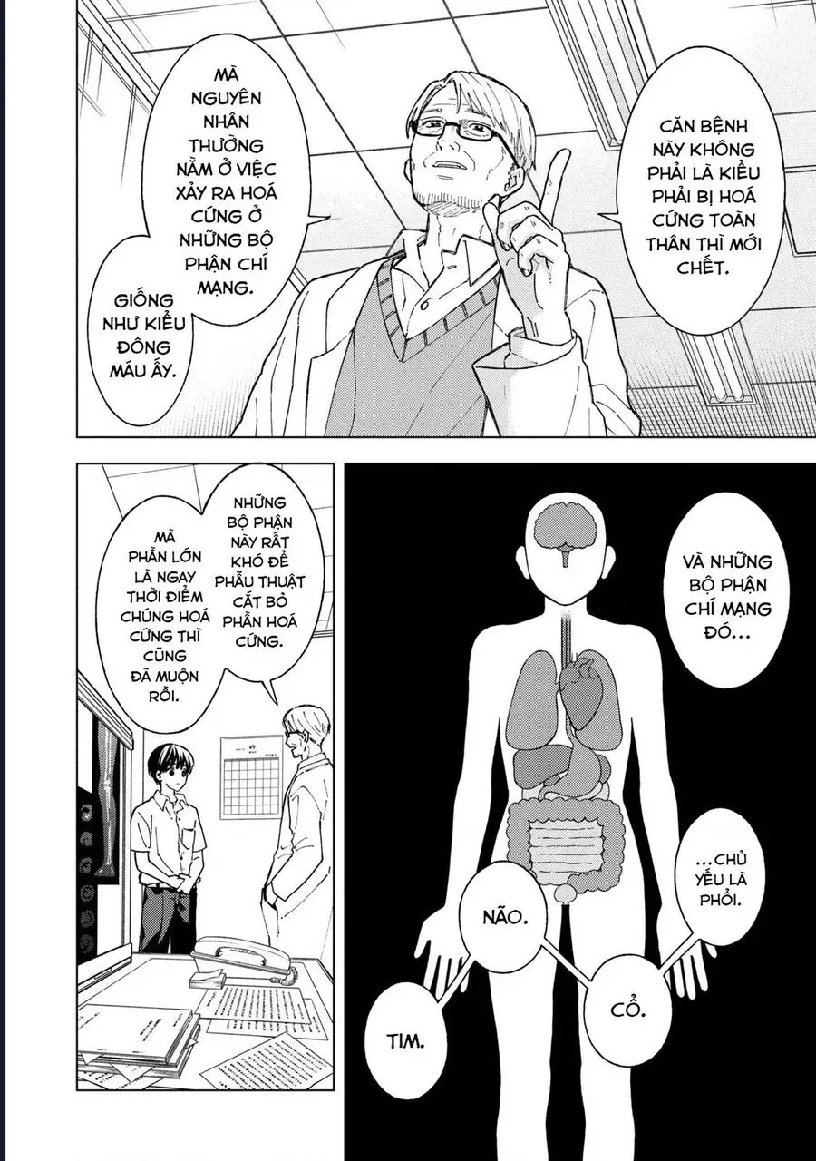 se-that-hoan-hao-neu-chi-ra-di-vao-luc-ha-tan-16