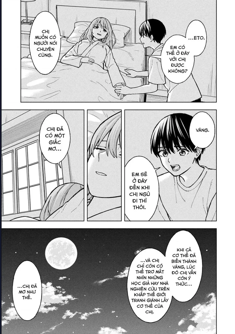 se-that-hoan-hao-neu-chi-ra-di-vao-luc-ha-tan-35