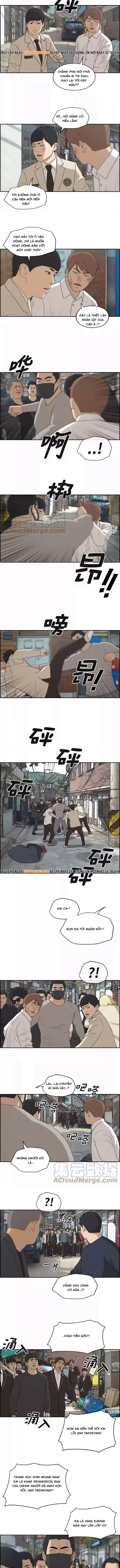 Free Draw Chap 195 - Next Chap 194