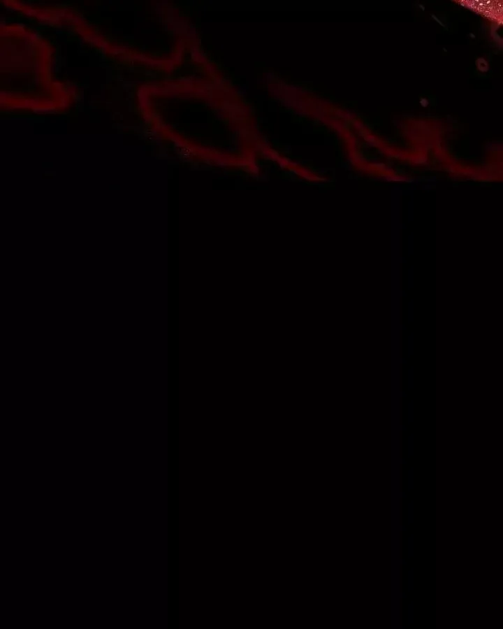 Bản Chất Của Chuyển Sinh Chap 169 - Next Chap 168