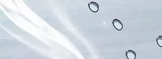 Bác Sĩ Thú Y Ở Dị Giới