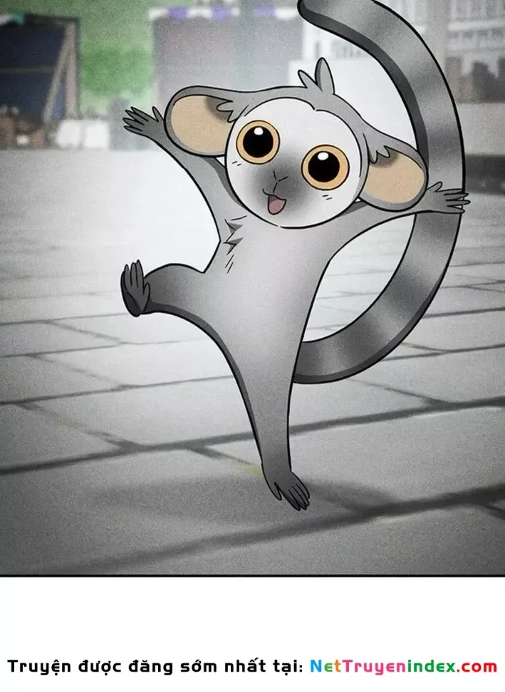 Bác Sĩ Thú Y Ở Dị Giới