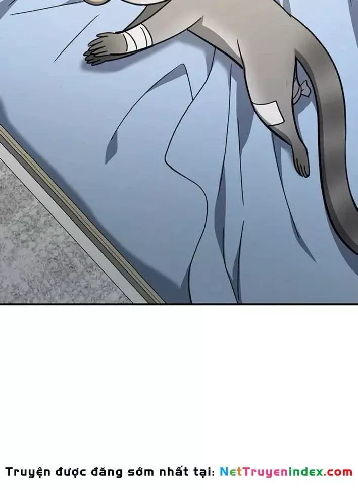 Bác Sĩ Thú Y Ở Dị Giới