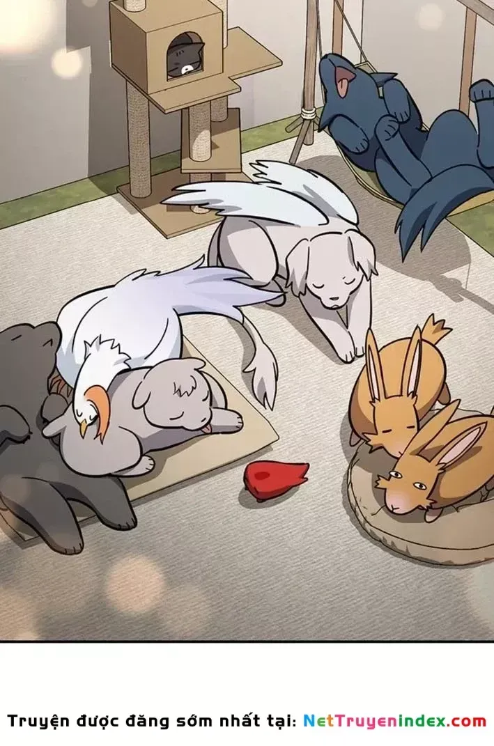 Bác Sĩ Thú Y Ở Dị Giới