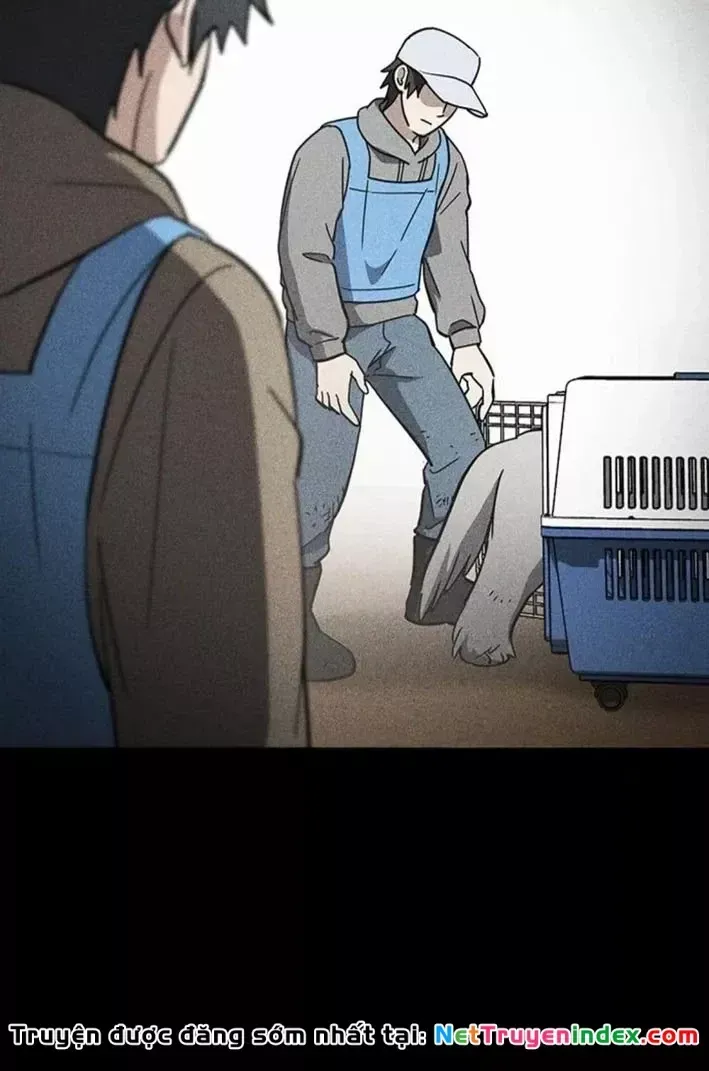 Bác Sĩ Thú Y Ở Dị Giới