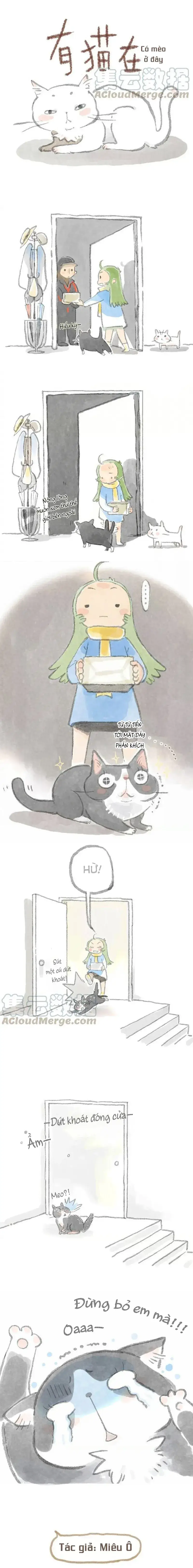 Ở Đây Có Mèo Chap 4 - Next Chap 5