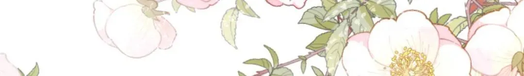 Tất Cả Phản Diện Đều Hắc Hoá , Chỉ Mỗi Sư  Là Hài Hước Chap 149 - Next Chap 150