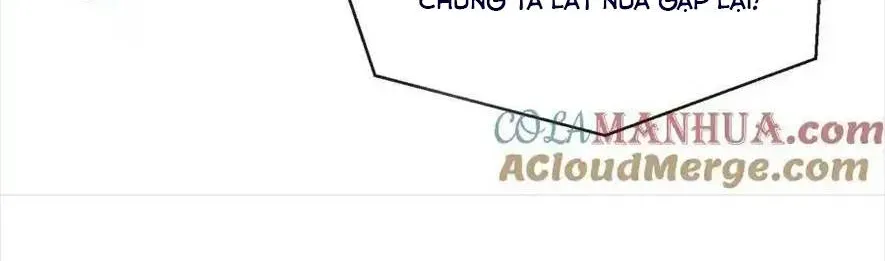 Sinh Trở Lại Làm Vợ Tổng Tài Chap 105 - Next Chap 106