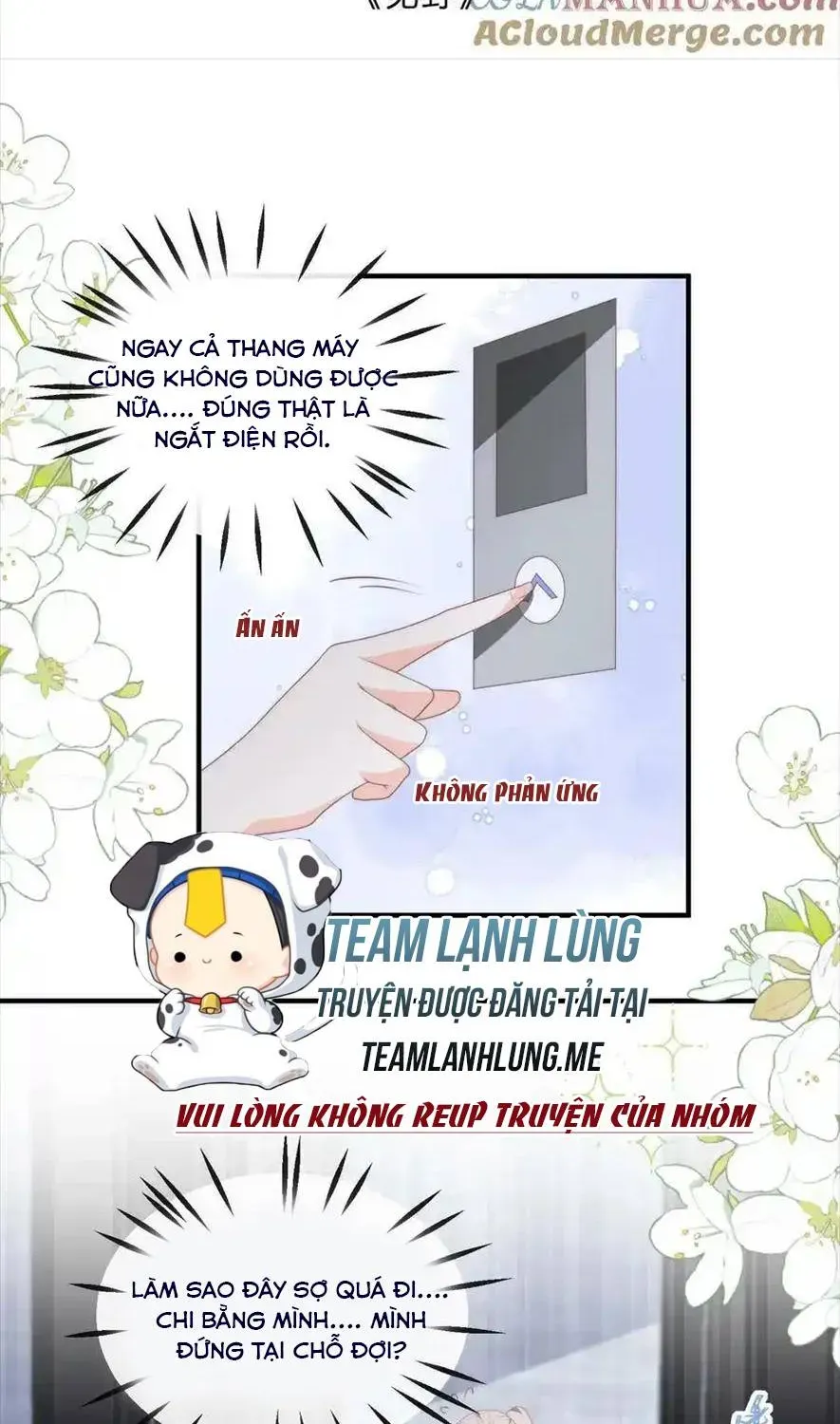 Sinh Trở Lại Làm Vợ Tổng Tài Chap 106 - Next Chap 107