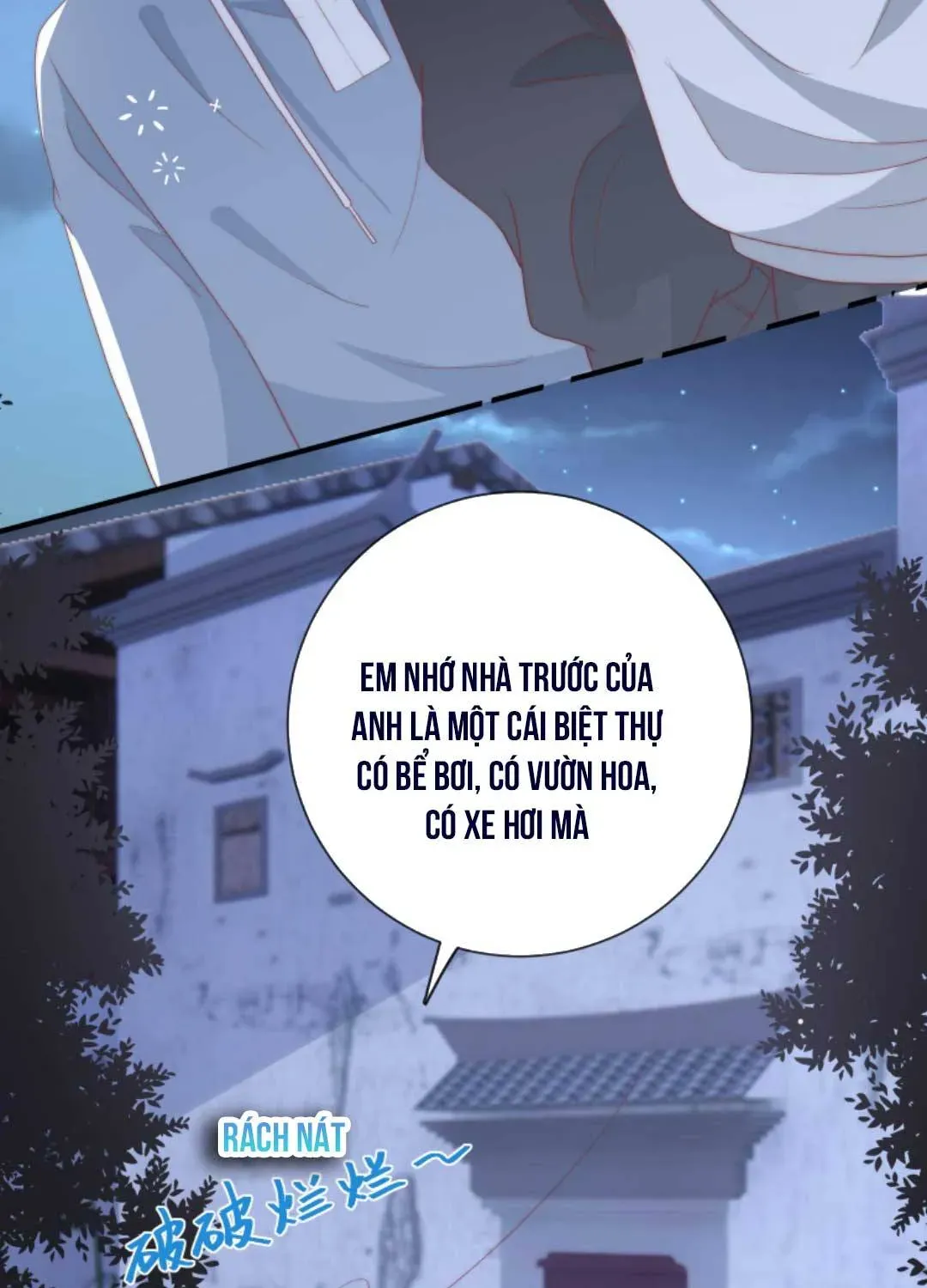 Sinh Trở Lại Làm Vợ Tổng Tài Chap 11 - Next Chap 12