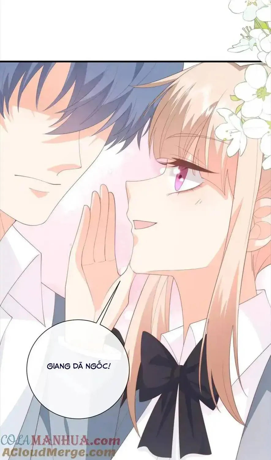 Sinh Trở Lại Làm Vợ Tổng Tài Chap 113 - Next Chap 114