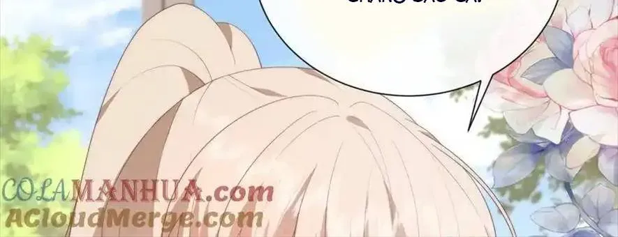 Sinh Trở Lại Làm Vợ Tổng Tài Chap 114 - Next Chap 115