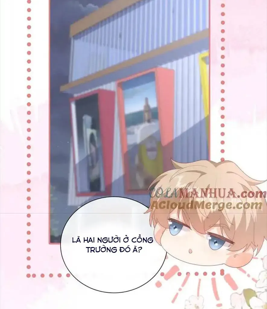 Sinh Trở Lại Làm Vợ Tổng Tài Chap 117 - Next Chap 118