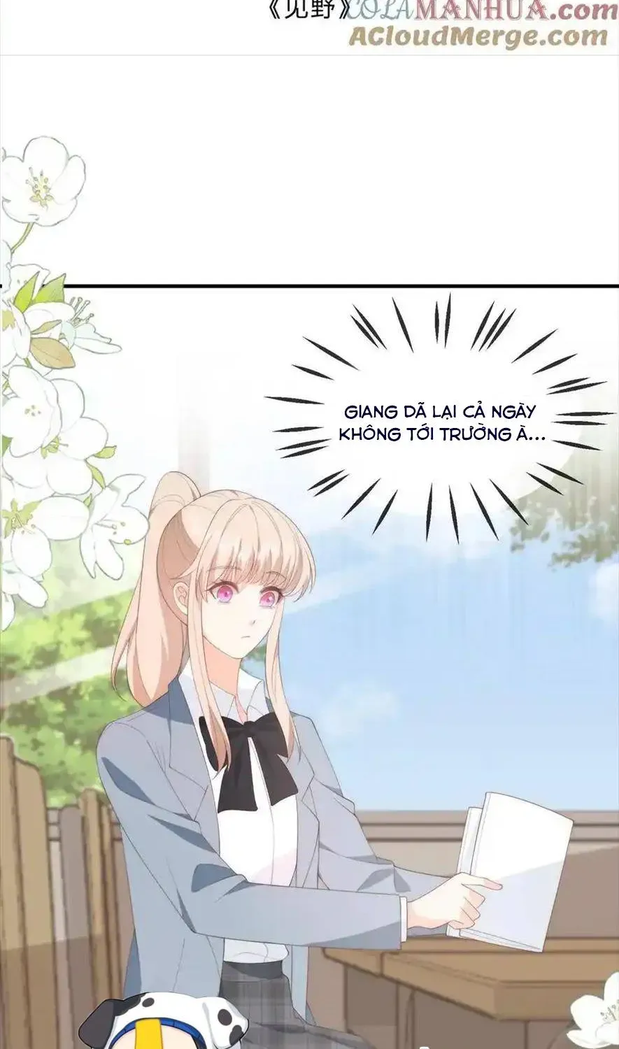 Sinh Trở Lại Làm Vợ Tổng Tài Chap 122 - Next Chap 123