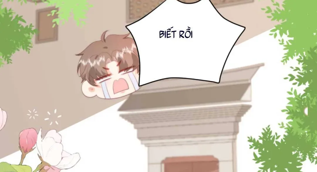 Sinh Trở Lại Làm Vợ Tổng Tài Chap 26 - Next Chap 27