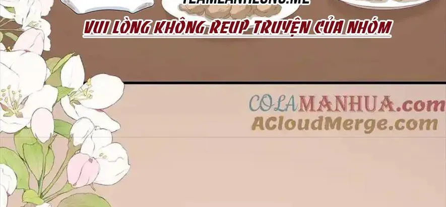 Sinh Trở Lại Làm Vợ Tổng Tài Chap 48 - Next Chap 49