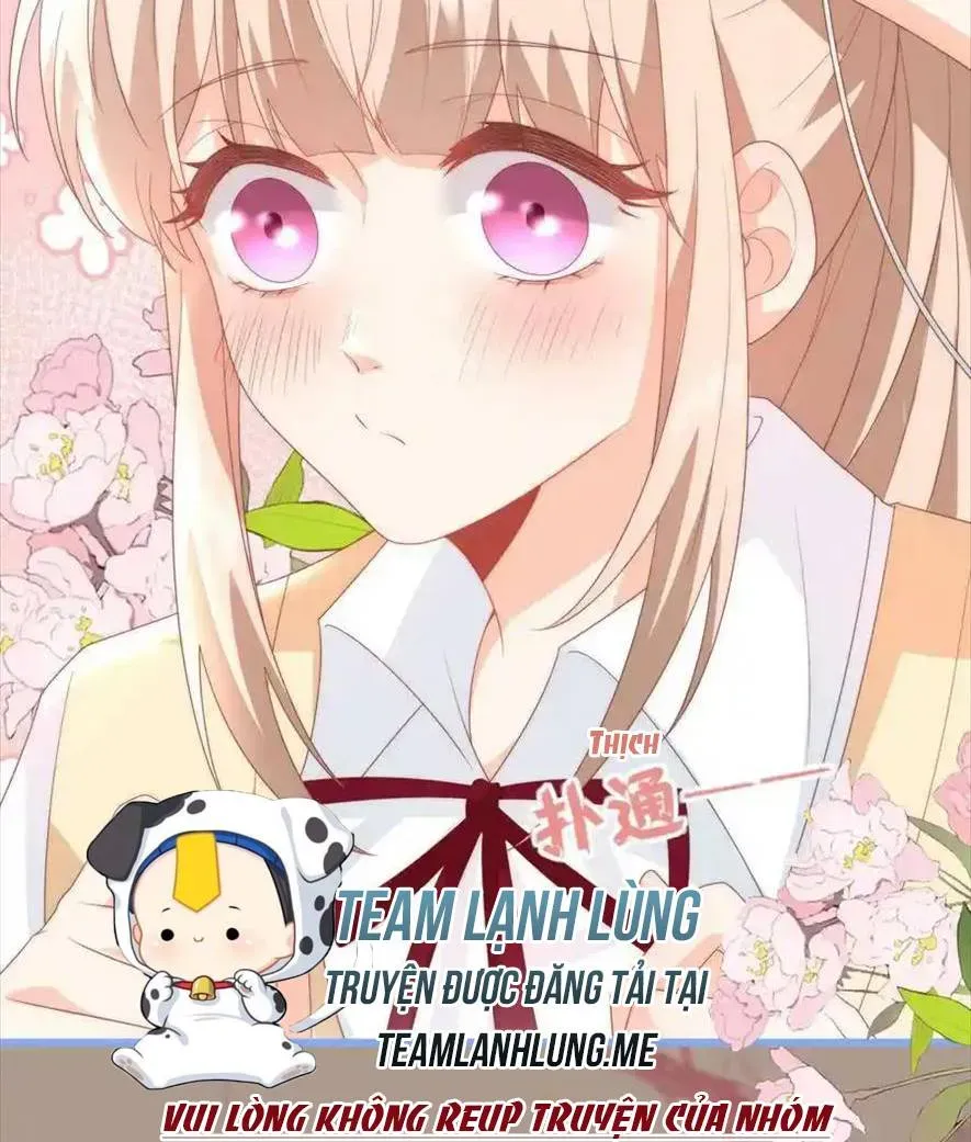 Sinh Trở Lại Làm Vợ Tổng Tài Chap 61 - Next Chap 62