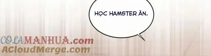 Sinh Trở Lại Làm Vợ Tổng Tài Chap 65 - Next Chap 66