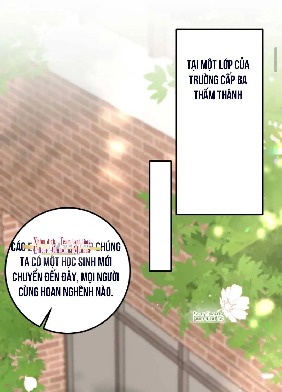 Sinh Trở Lại Làm Vợ Tổng Tài Chap 7 - Next Chap 8