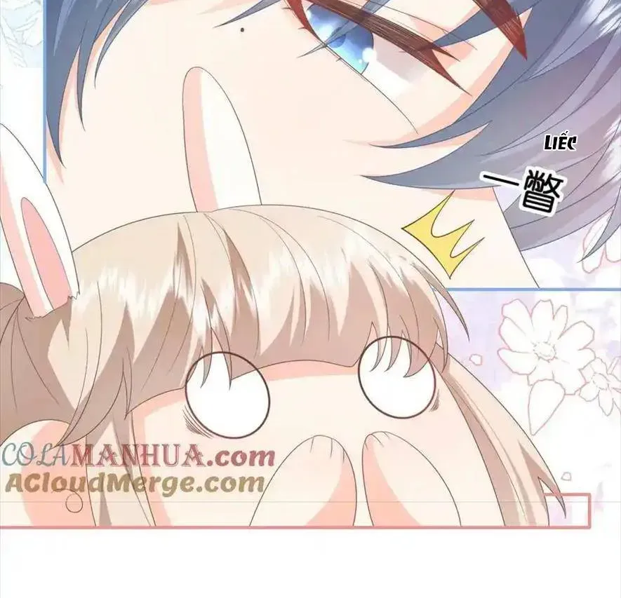 Sinh Trở Lại Làm Vợ Tổng Tài Chap 71 - Next Chap 72