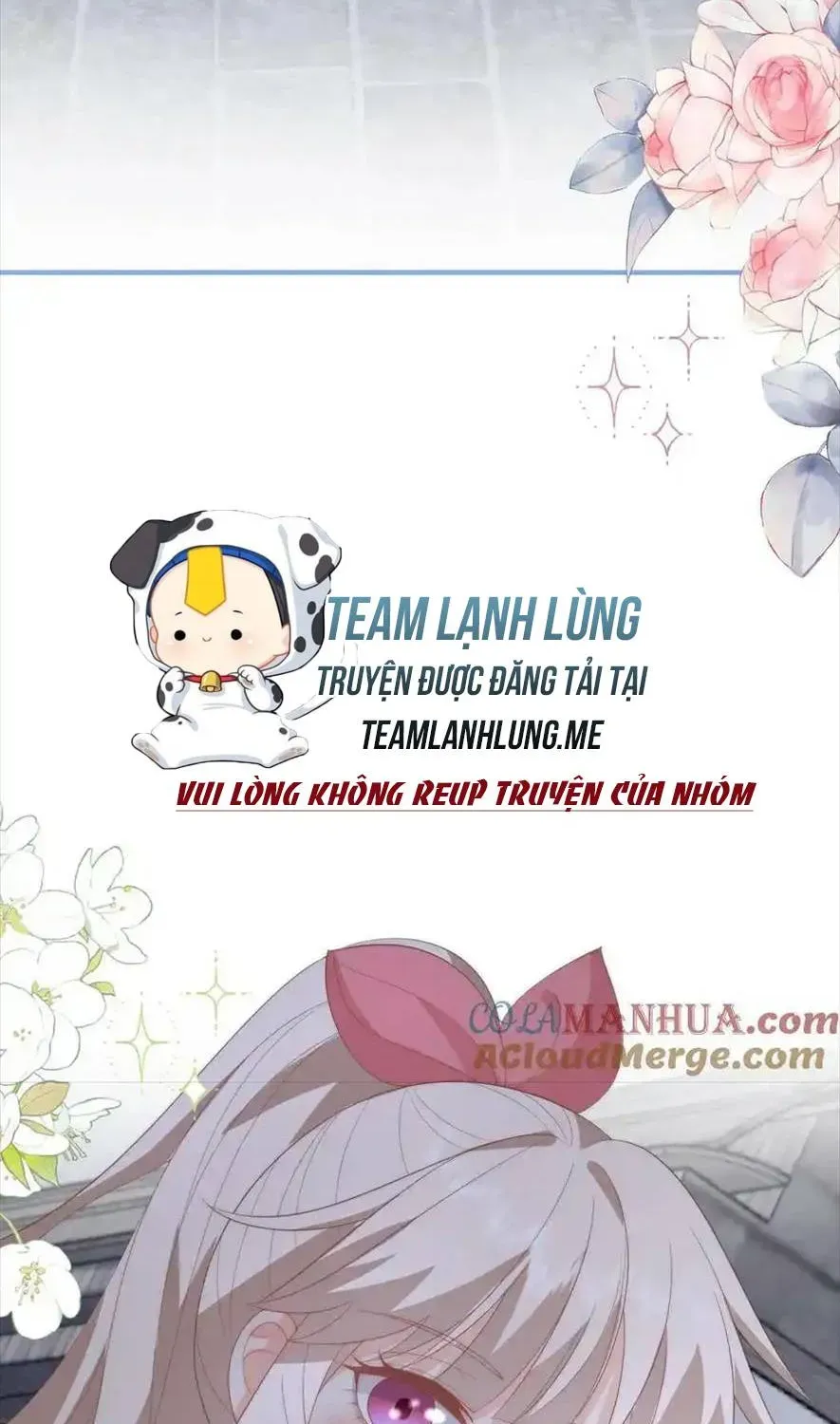 Sinh Trở Lại Làm Vợ Tổng Tài Chap 74 - Next Chap 75