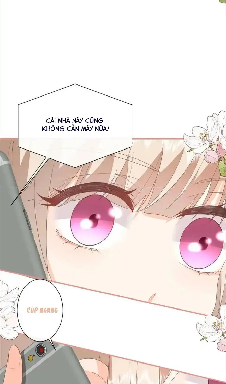 Sinh Trở Lại Làm Vợ Tổng Tài Chap 75 - Next Chap 76