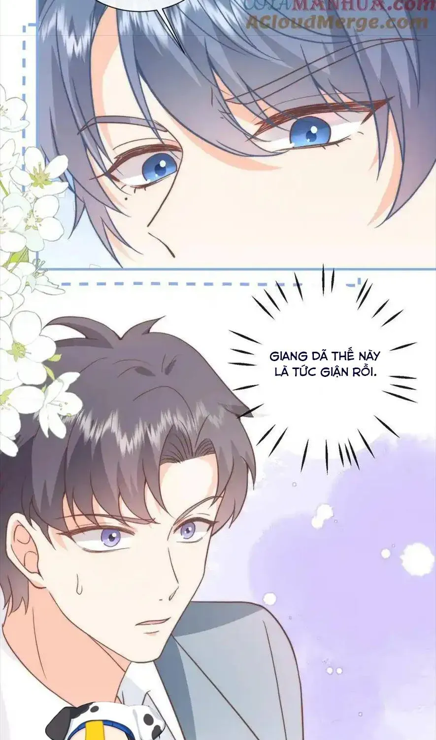 Sinh Trở Lại Làm Vợ Tổng Tài Chap 80 - Next Chap 81