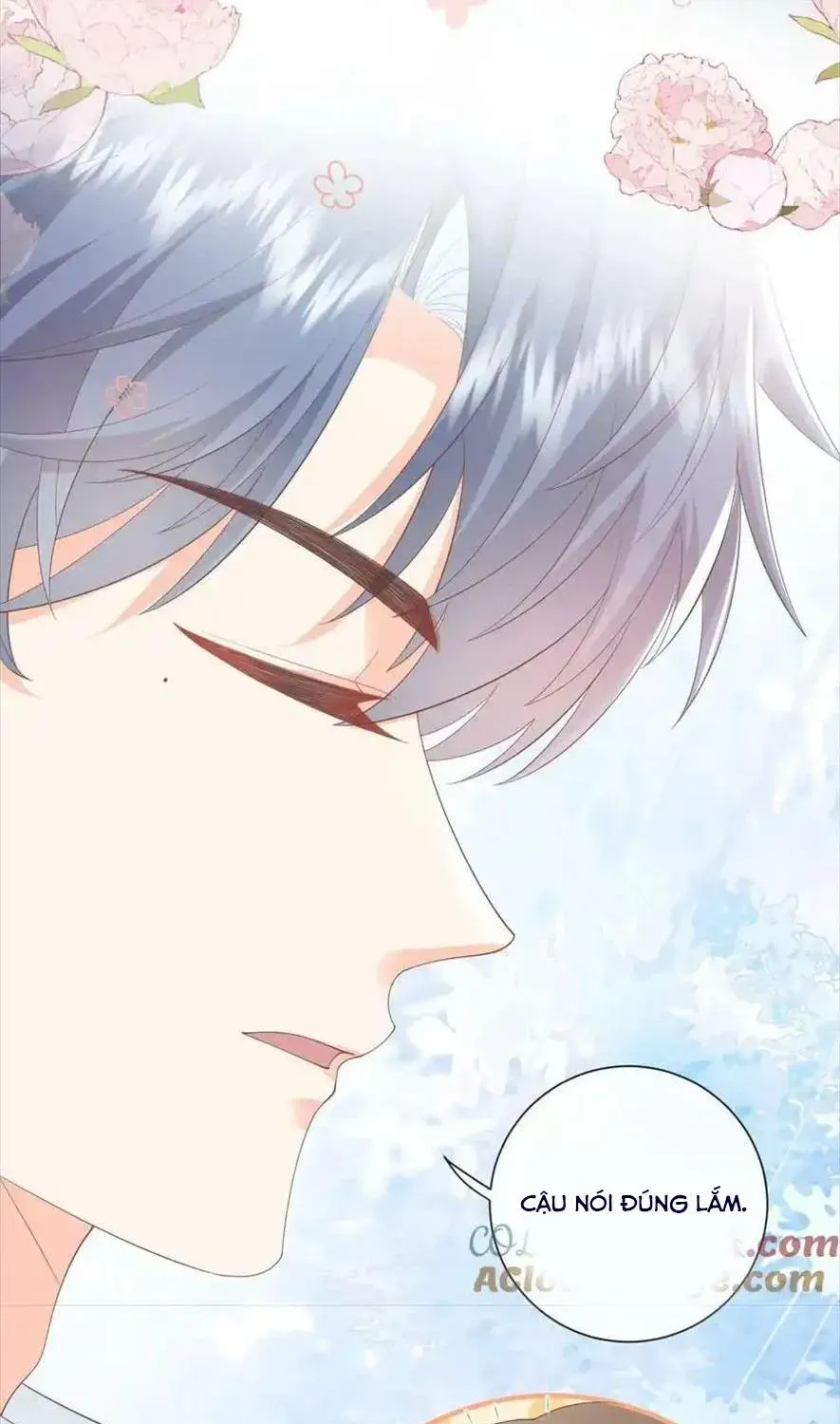 Sinh Trở Lại Làm Vợ Tổng Tài Chap 81 - Next Chap 82