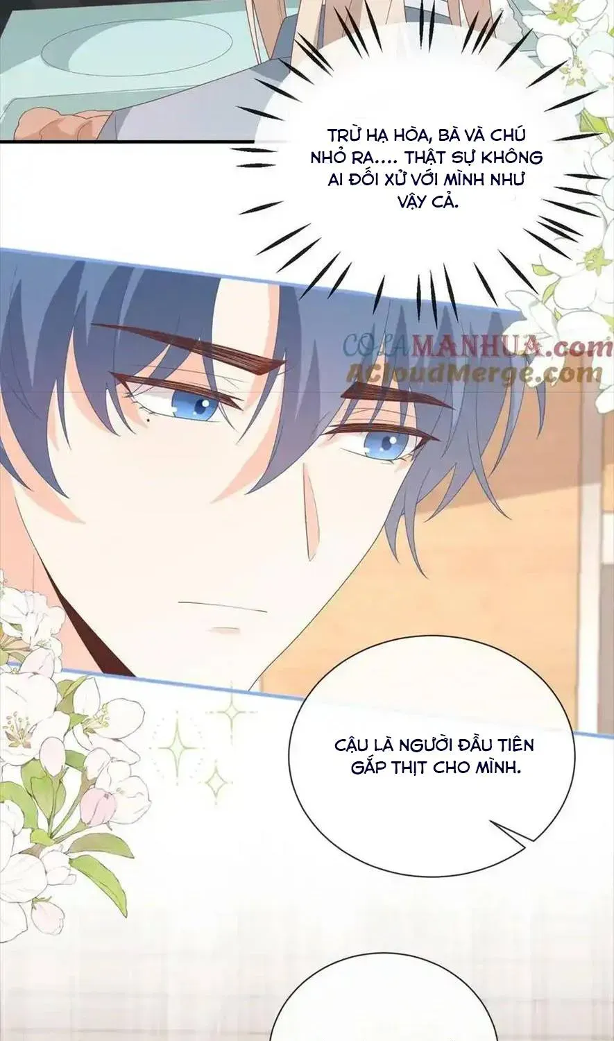 Sinh Trở Lại Làm Vợ Tổng Tài Chap 83 - Next Chap 84