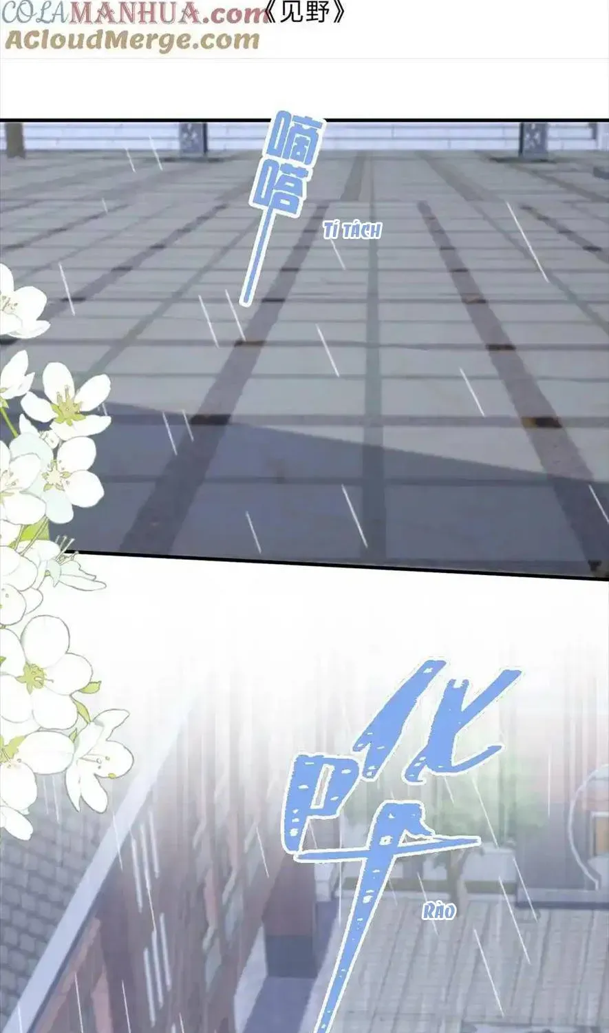 Sinh Trở Lại Làm Vợ Tổng Tài Chap 87 - Next Chap 88