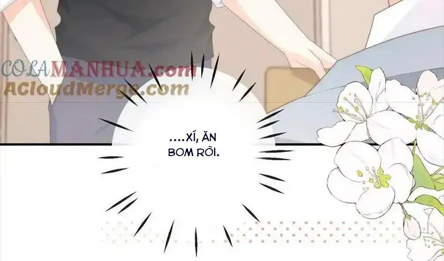 Sinh Trở Lại Làm Vợ Tổng Tài Chap 96 - Next Chap 97