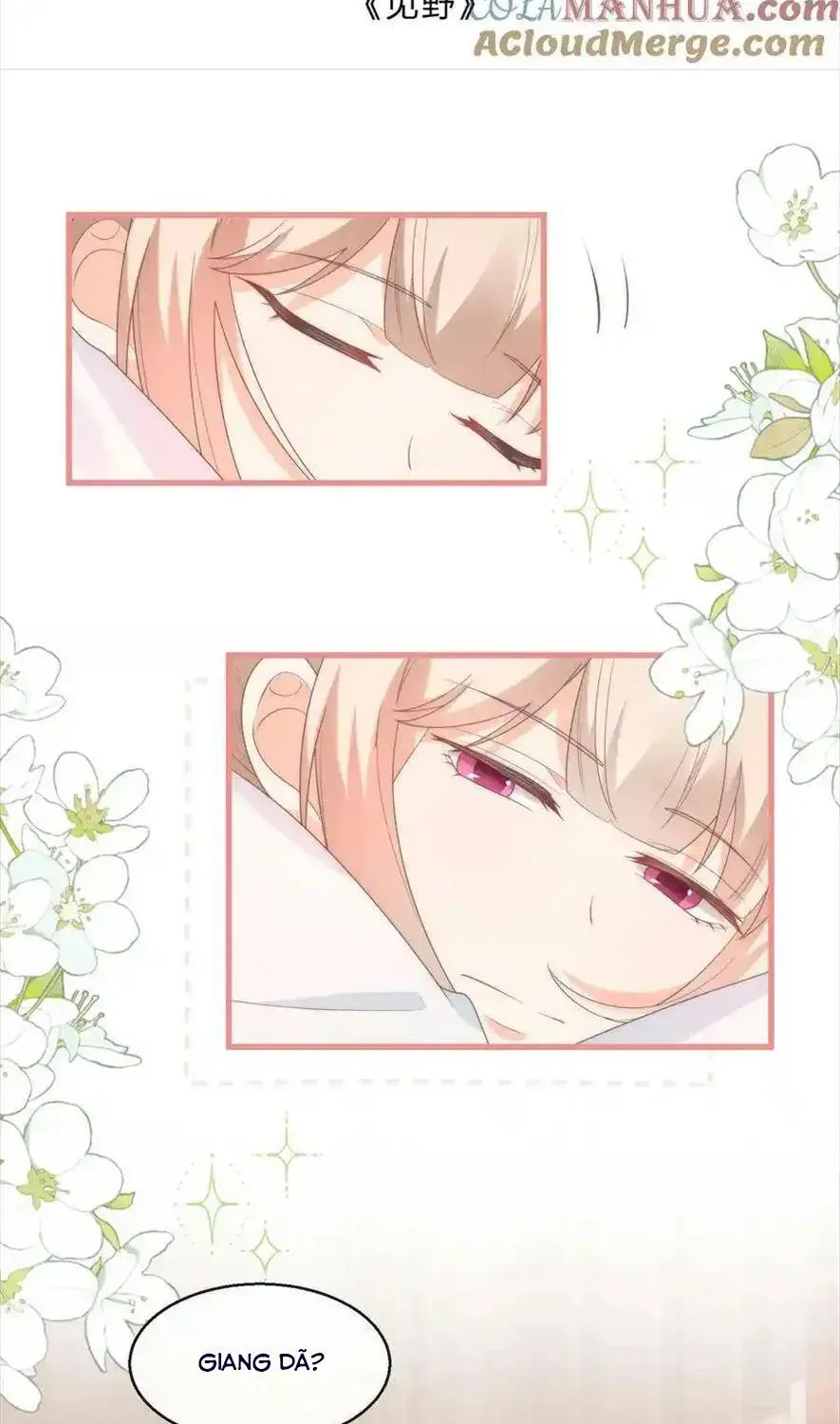 Sinh Trở Lại Làm Vợ Tổng Tài Chap 97 - Next Chap 98