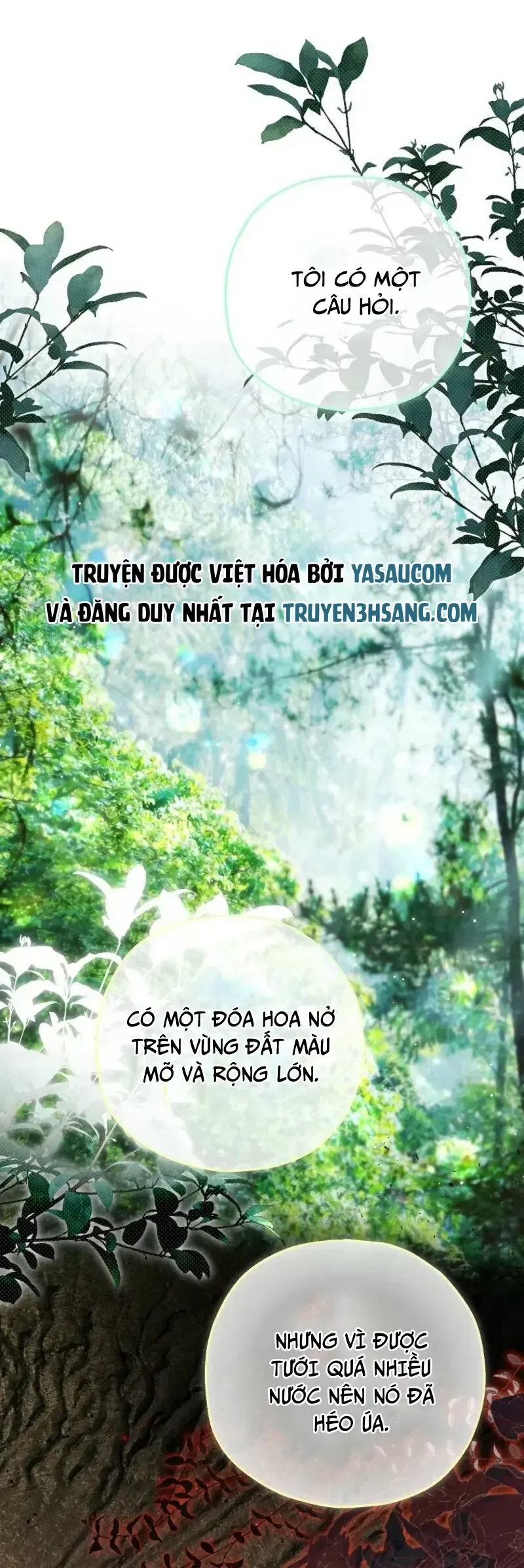 Nàng Dâu Nuôi Muốn Đứt Tình Đoạn Nghĩa Chap 92 - Next Chap 91