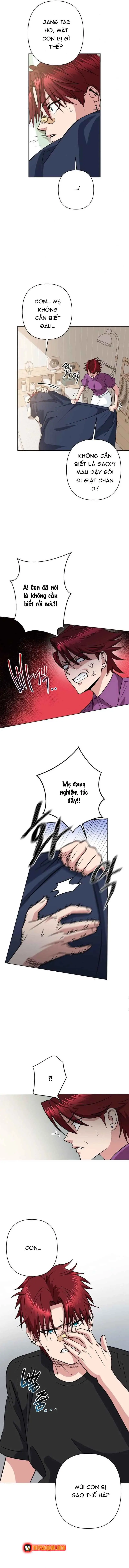 Tên Du Côn Và Tiểu Thư Xã Hội Đen Chap 1 - Next Chap 2