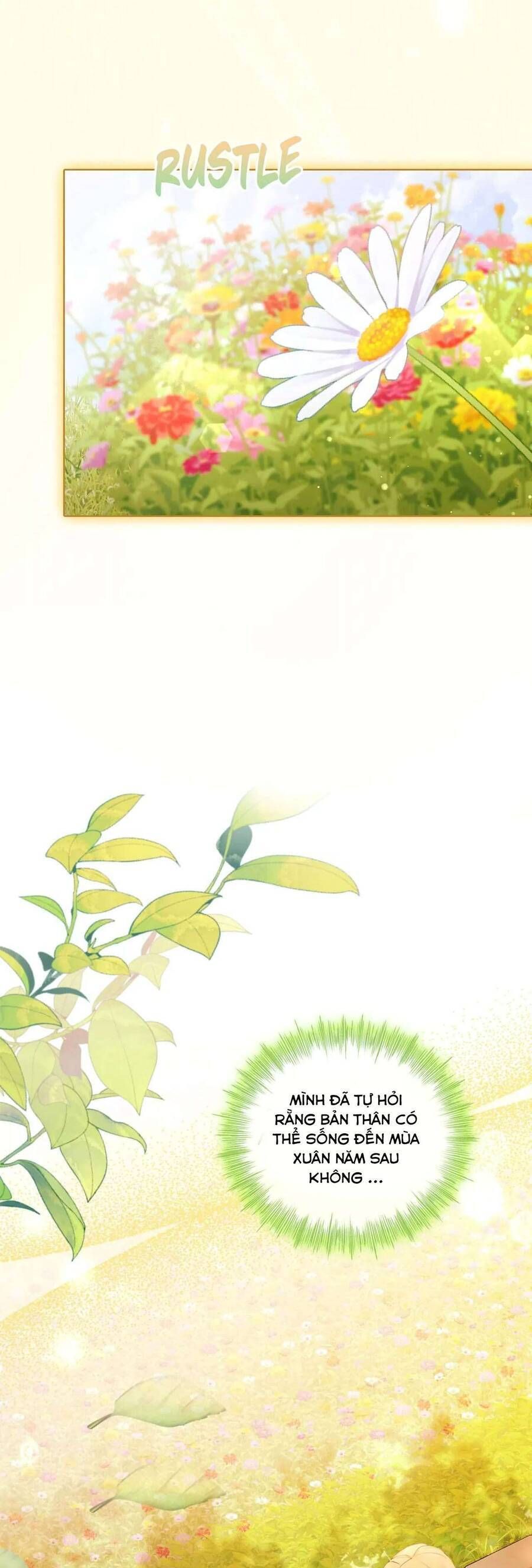 Không Cần Hối Hận Chap 2 - Next Chap 3