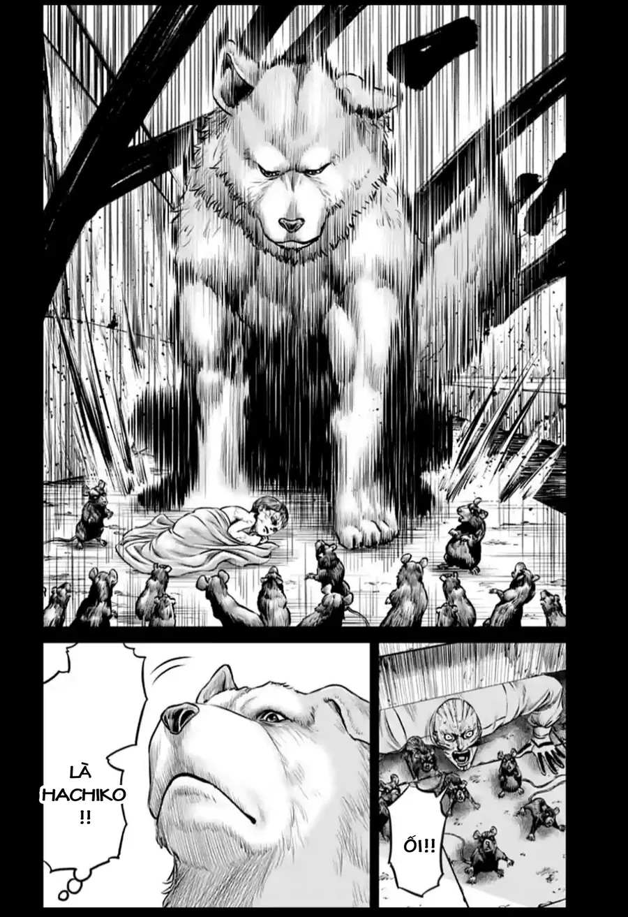 Loạn Đấu Tokyo Chap 93 - Next Chap 92